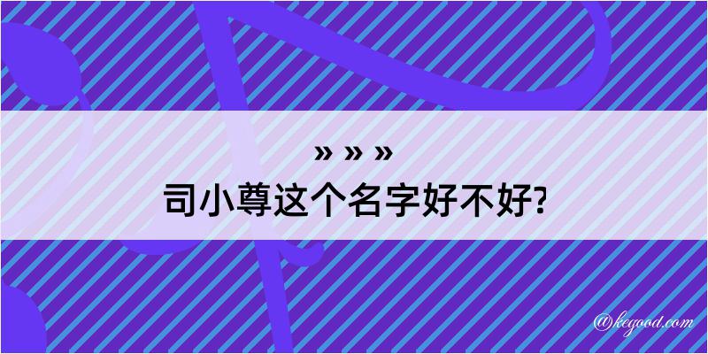 司小尊这个名字好不好?