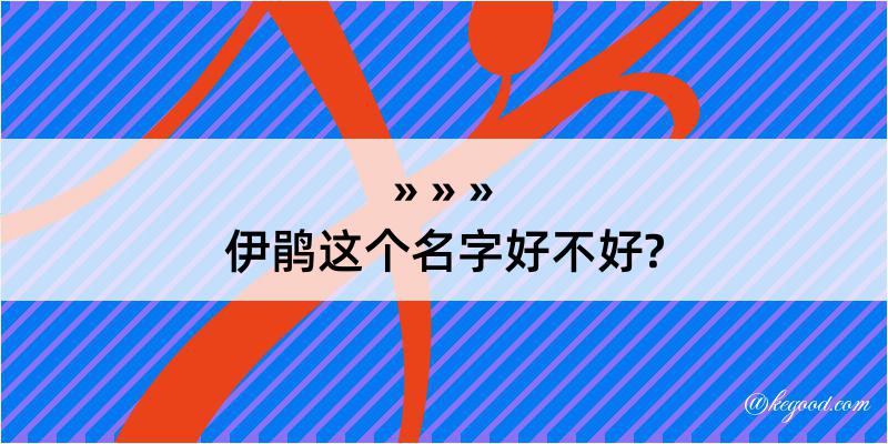 伊鹃这个名字好不好?