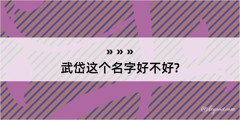 武岱这个名字好不好?