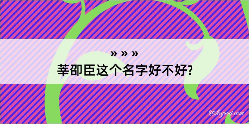 莘卲臣这个名字好不好?