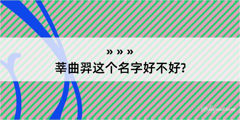 莘曲羿这个名字好不好?