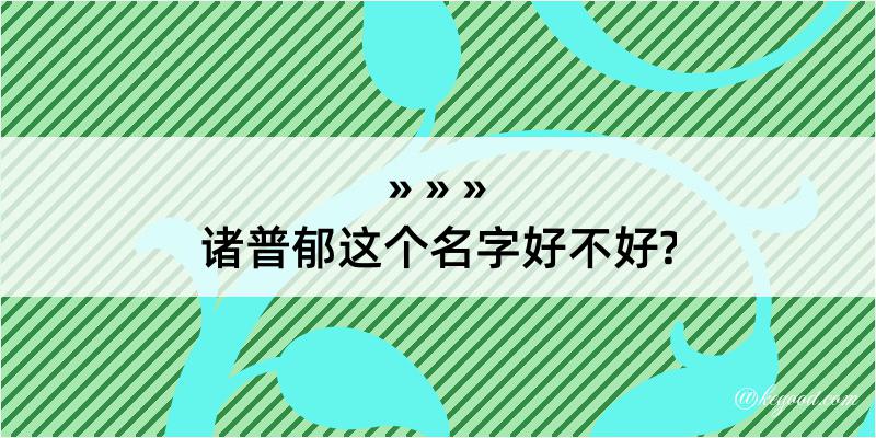 诸普郁这个名字好不好?