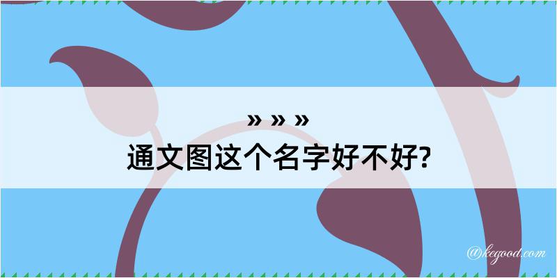 通文图这个名字好不好?