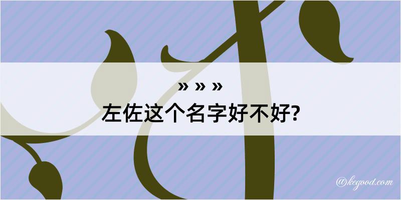 左佐这个名字好不好?