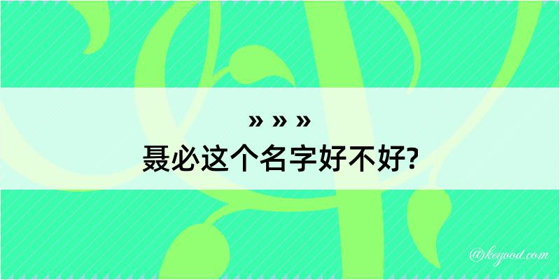 聂必这个名字好不好?