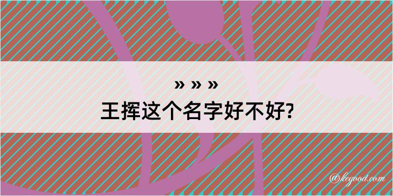 王挥这个名字好不好?