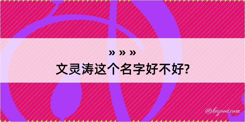 文灵涛这个名字好不好?