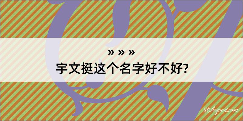 宇文挺这个名字好不好?