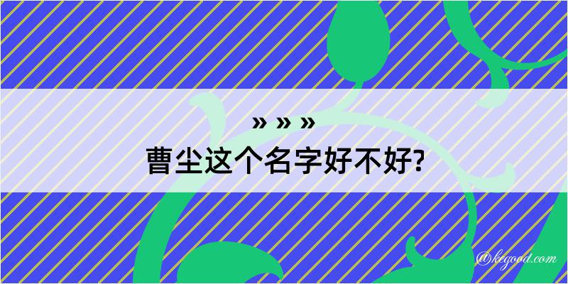 曹尘这个名字好不好?