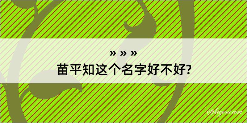 苗平知这个名字好不好?