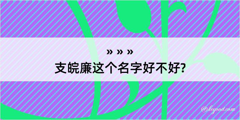 支皖廉这个名字好不好?