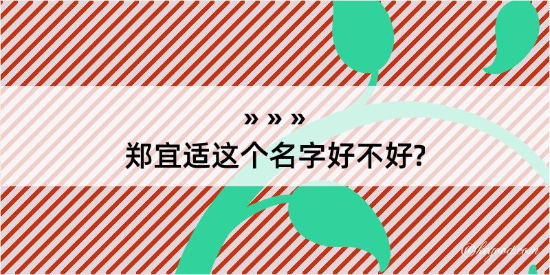 郑宜适这个名字好不好?