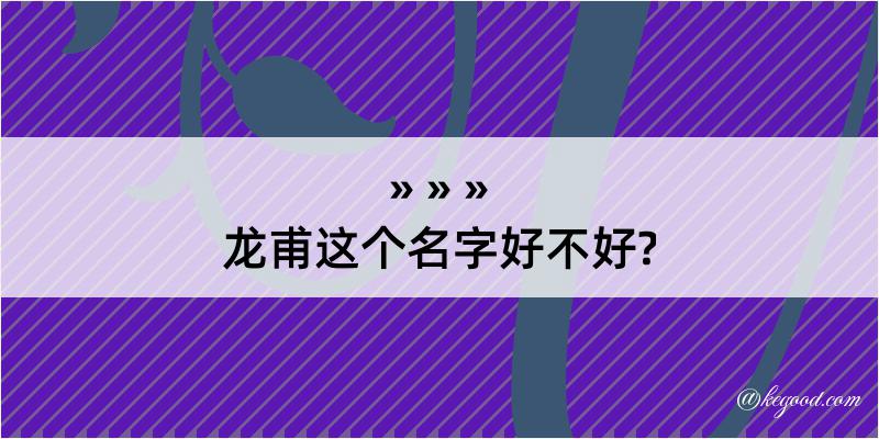 龙甫这个名字好不好?