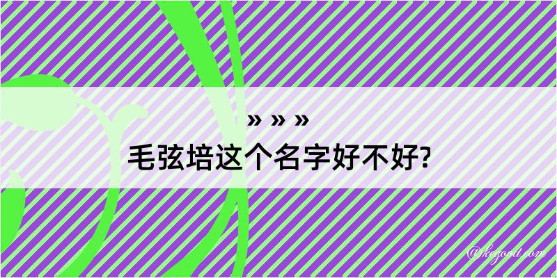 毛弦培这个名字好不好?