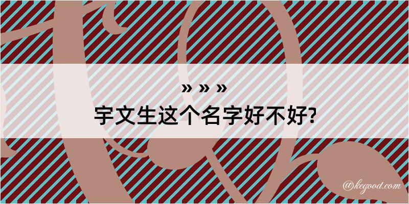 宇文生这个名字好不好?