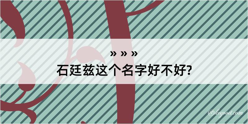 石廷兹这个名字好不好?