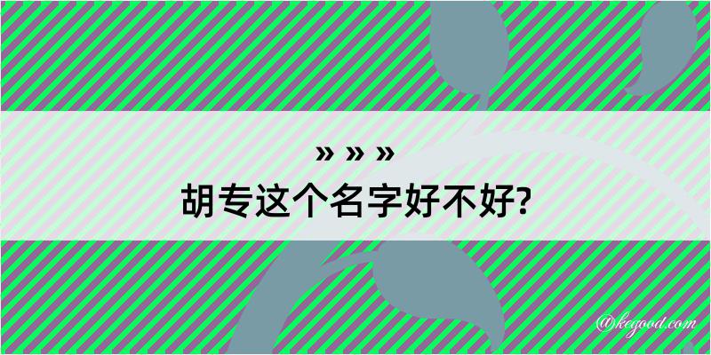 胡专这个名字好不好?