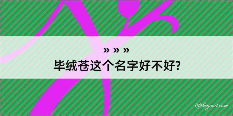 毕绒苍这个名字好不好?