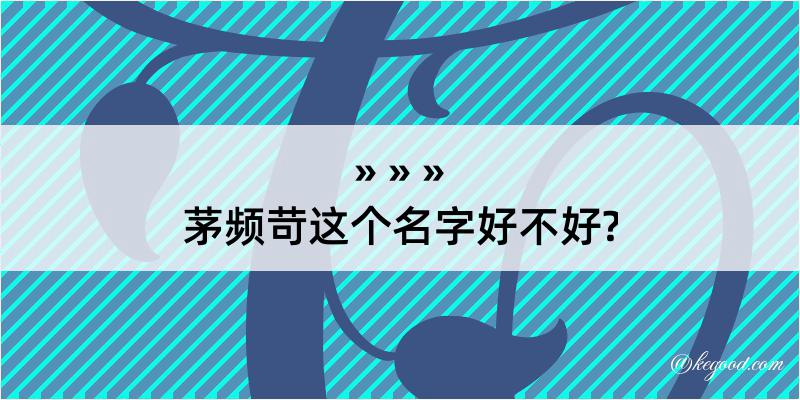 茅频苛这个名字好不好?