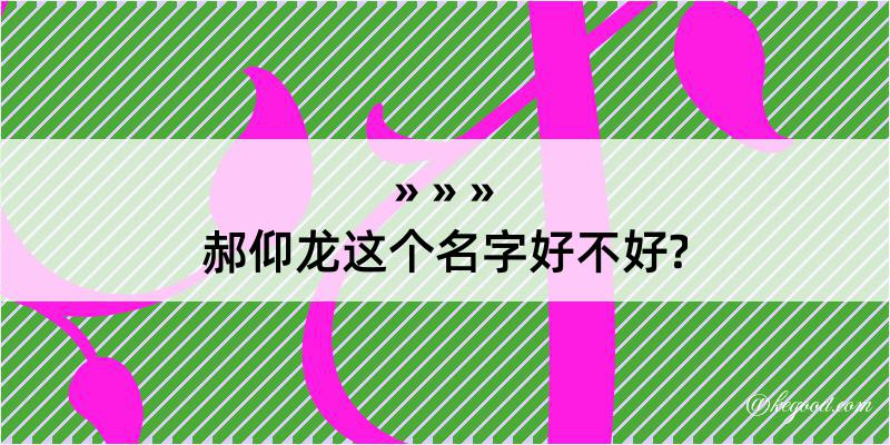 郝仰龙这个名字好不好?