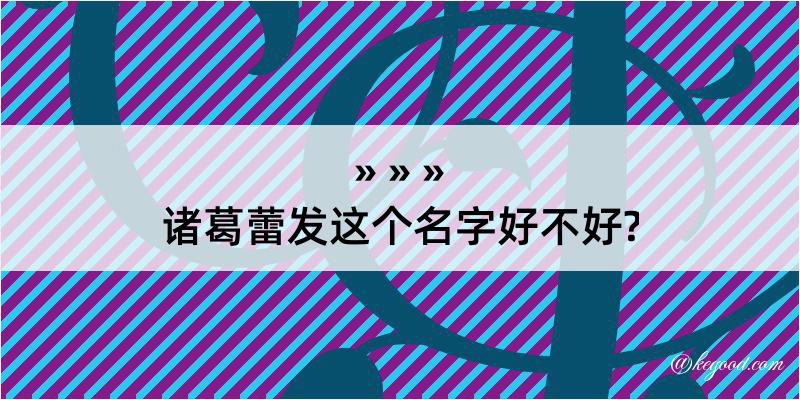 诸葛蕾发这个名字好不好?