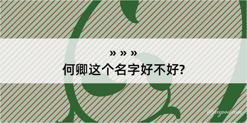 何卿这个名字好不好?