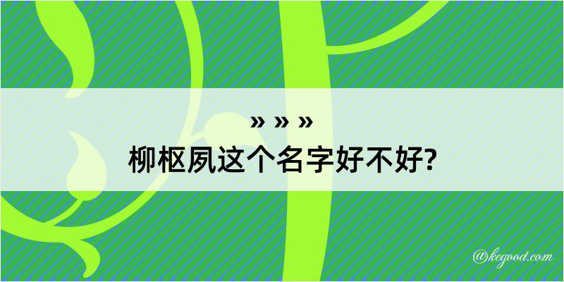 柳枢夙这个名字好不好?