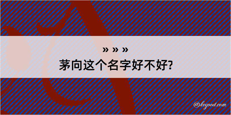 茅向这个名字好不好?