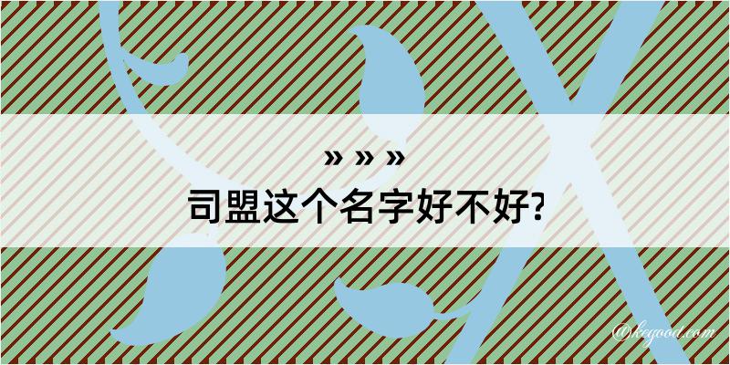 司盟这个名字好不好?