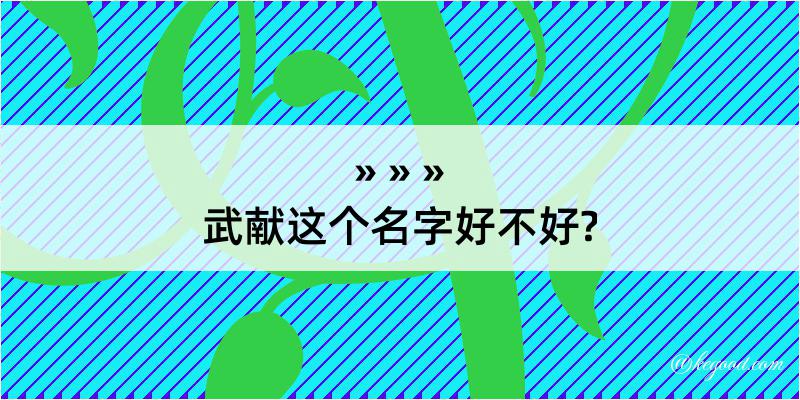 武献这个名字好不好?