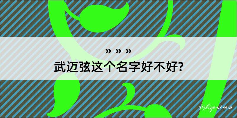 武迈弦这个名字好不好?