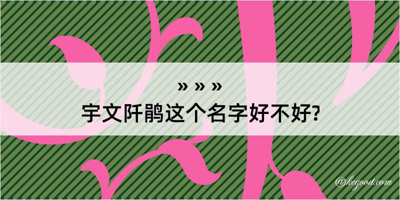 宇文阡鹃这个名字好不好?