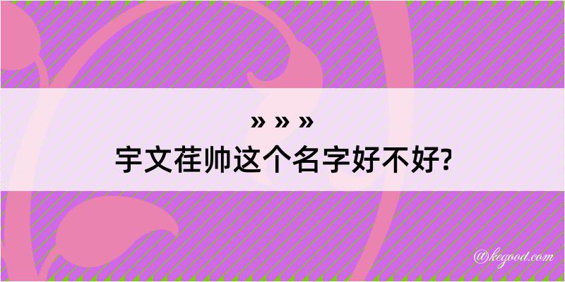 宇文荏帅这个名字好不好?