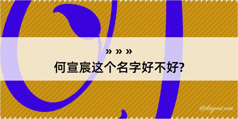 何宣宸这个名字好不好?