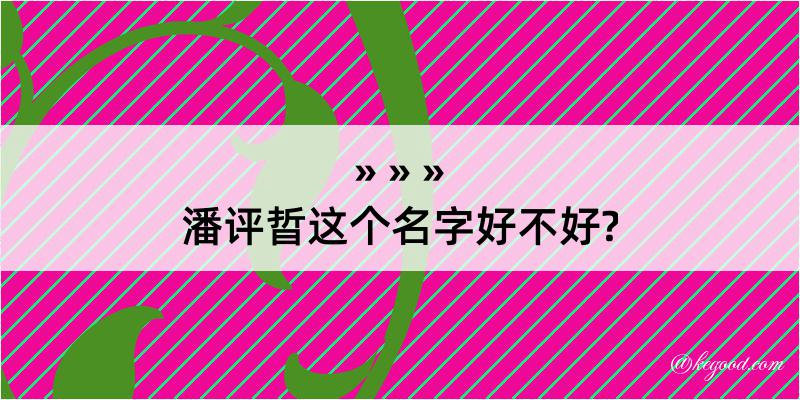 潘评晢这个名字好不好?