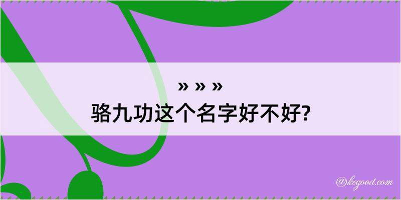 骆九功这个名字好不好?