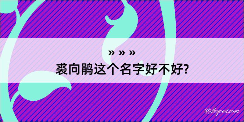 裘向鹃这个名字好不好?