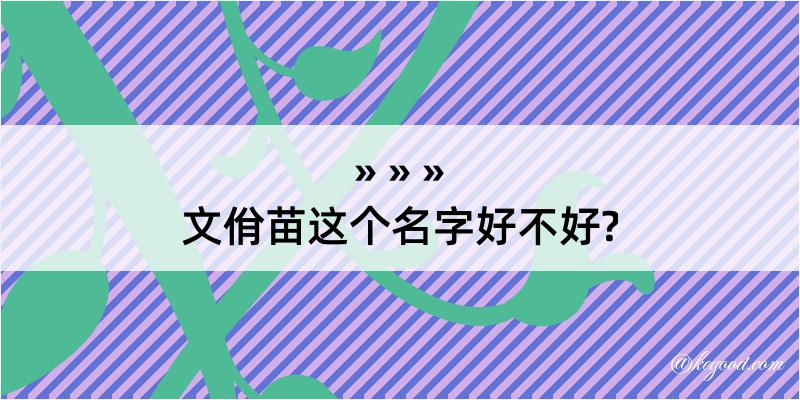 文佾苗这个名字好不好?