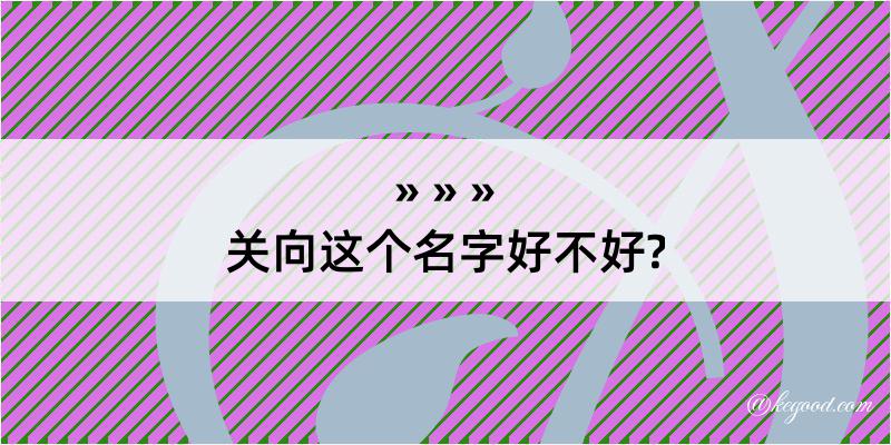 关向这个名字好不好?