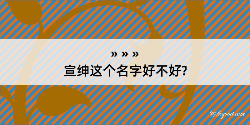 宣绅这个名字好不好?