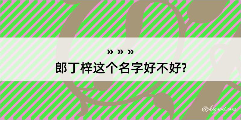 郎丁梓这个名字好不好?