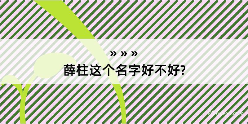 薛柱这个名字好不好?