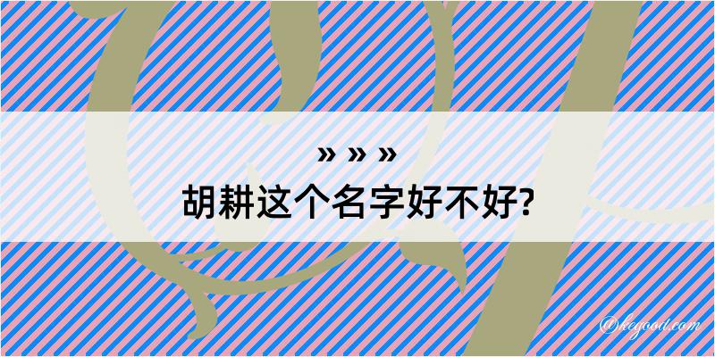 胡耕这个名字好不好?