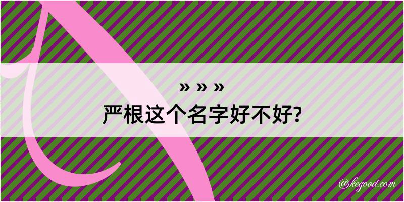 严根这个名字好不好?