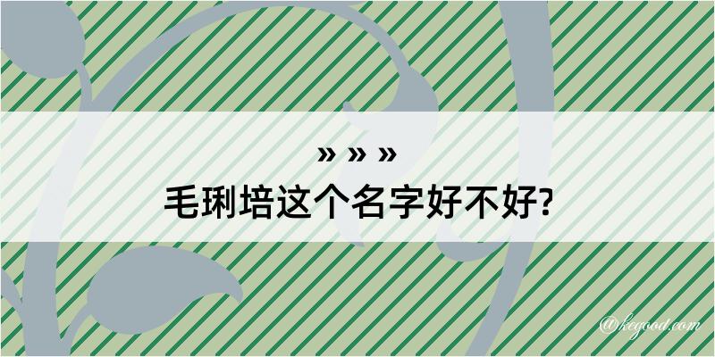 毛琍培这个名字好不好?