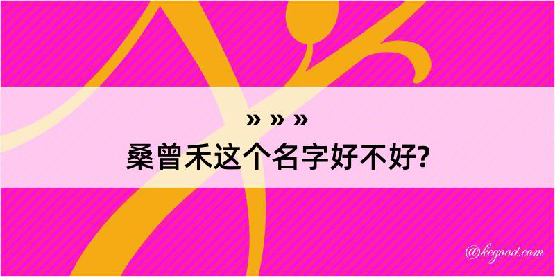 桑曾禾这个名字好不好?