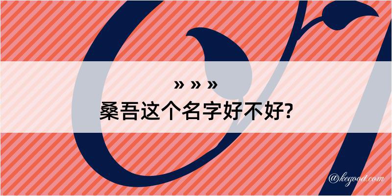 桑吾这个名字好不好?