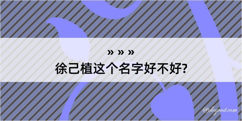 徐己植这个名字好不好?