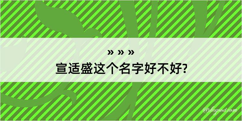 宣适盛这个名字好不好?