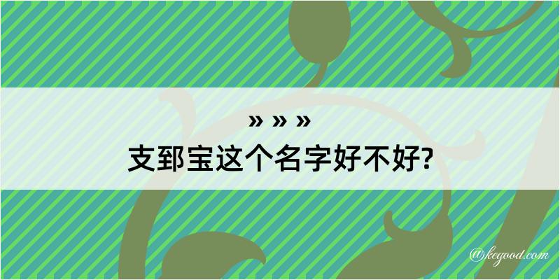 支郅宝这个名字好不好?